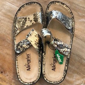 Alegria Shoes